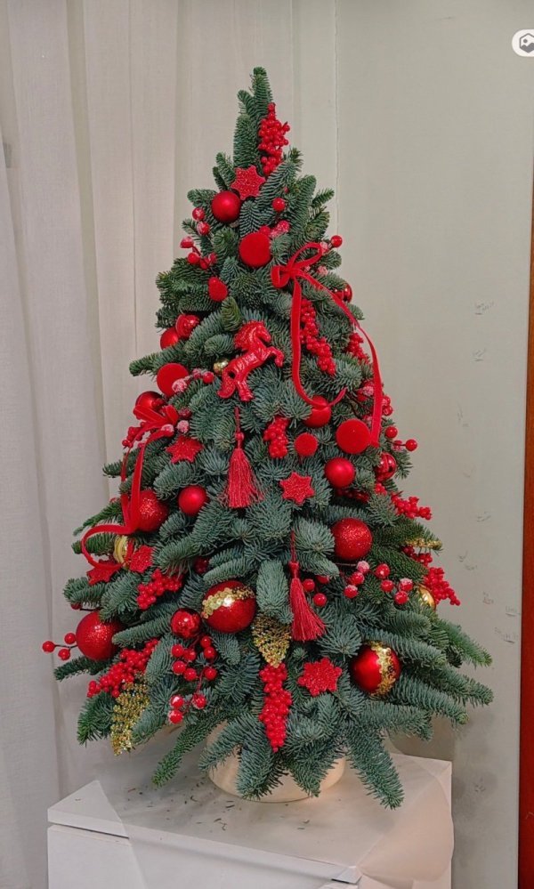 Новогодняя композиция (Нг05) из Новый год - Интернет магазин цветов ЭДЕМ в Хабаровске